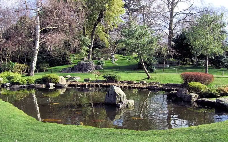 social sciences conference